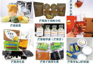 攀枝花芒果深加工產業(yè)大有可為 本土專家自主研發(fā)新型芒果原漿生產線調試成功