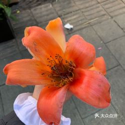 電話,地址,價格,營業(yè)時間 攀枝花生活服務