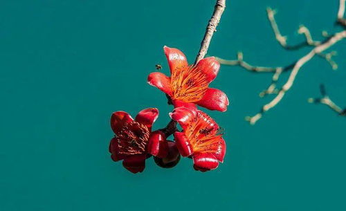 充電再續(xù)航 金舵攀枝花終端賦能培訓(xùn)會圓滿結(jié)束