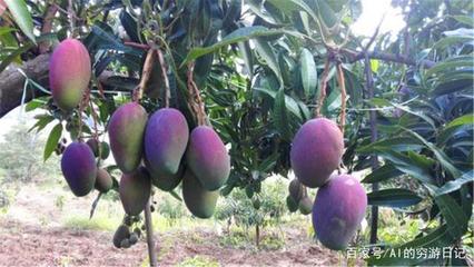 四川未來最&ldquo;吃香&rdquo;的城市,成都、綿陽落榜,這個城市眾望所歸