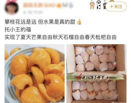 你以為的進(jìn)口熱帶水果，可能都來(lái)自'四川小三亞'攀枝花