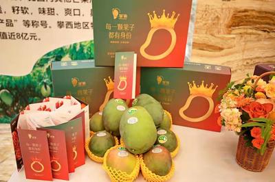 攀枝花再加碼，著力推進“九個一”行動，助力“攀果”產業升級