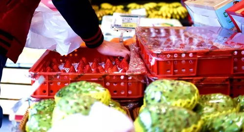 攀枝花水果 春節送禮新風尚，外地市場受熱捧